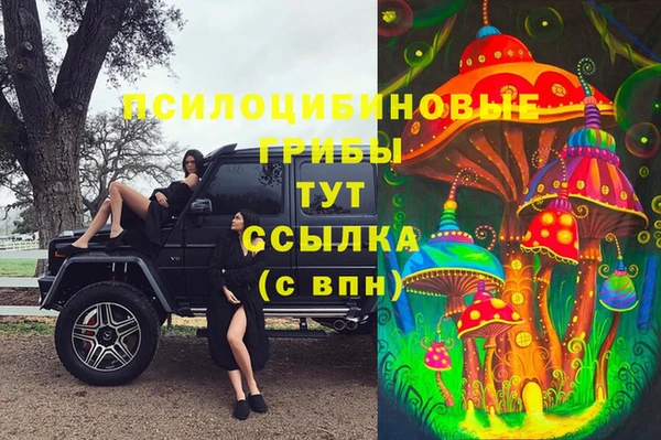 mdpv Нязепетровск