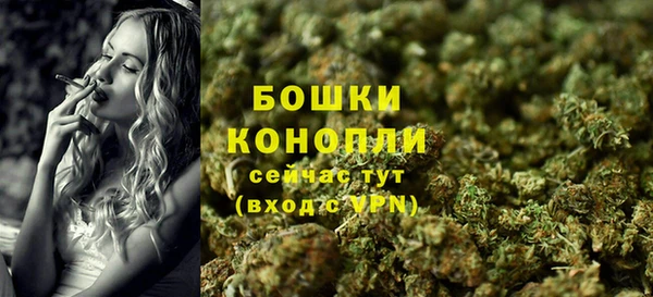 spice Няндома